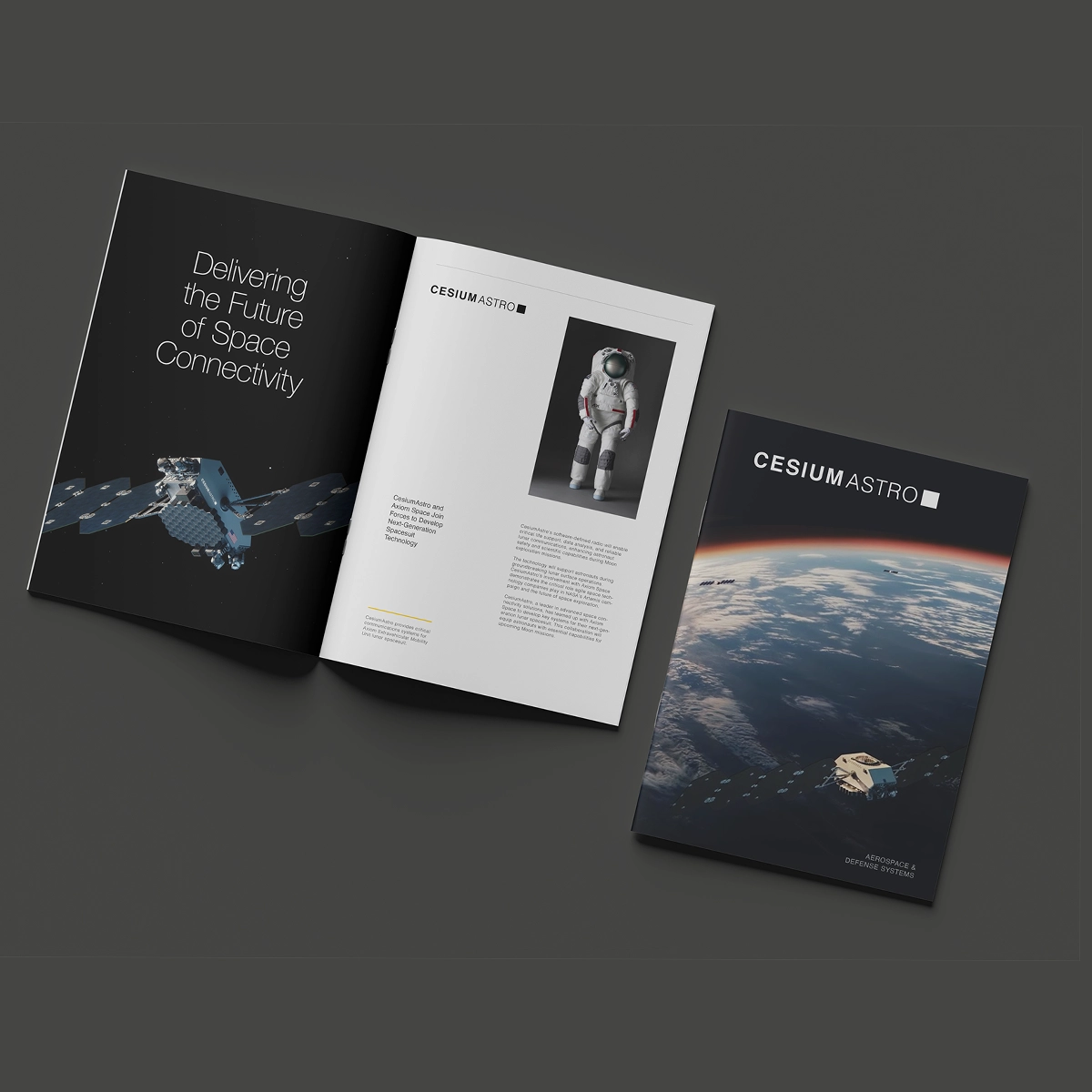 Project Preview