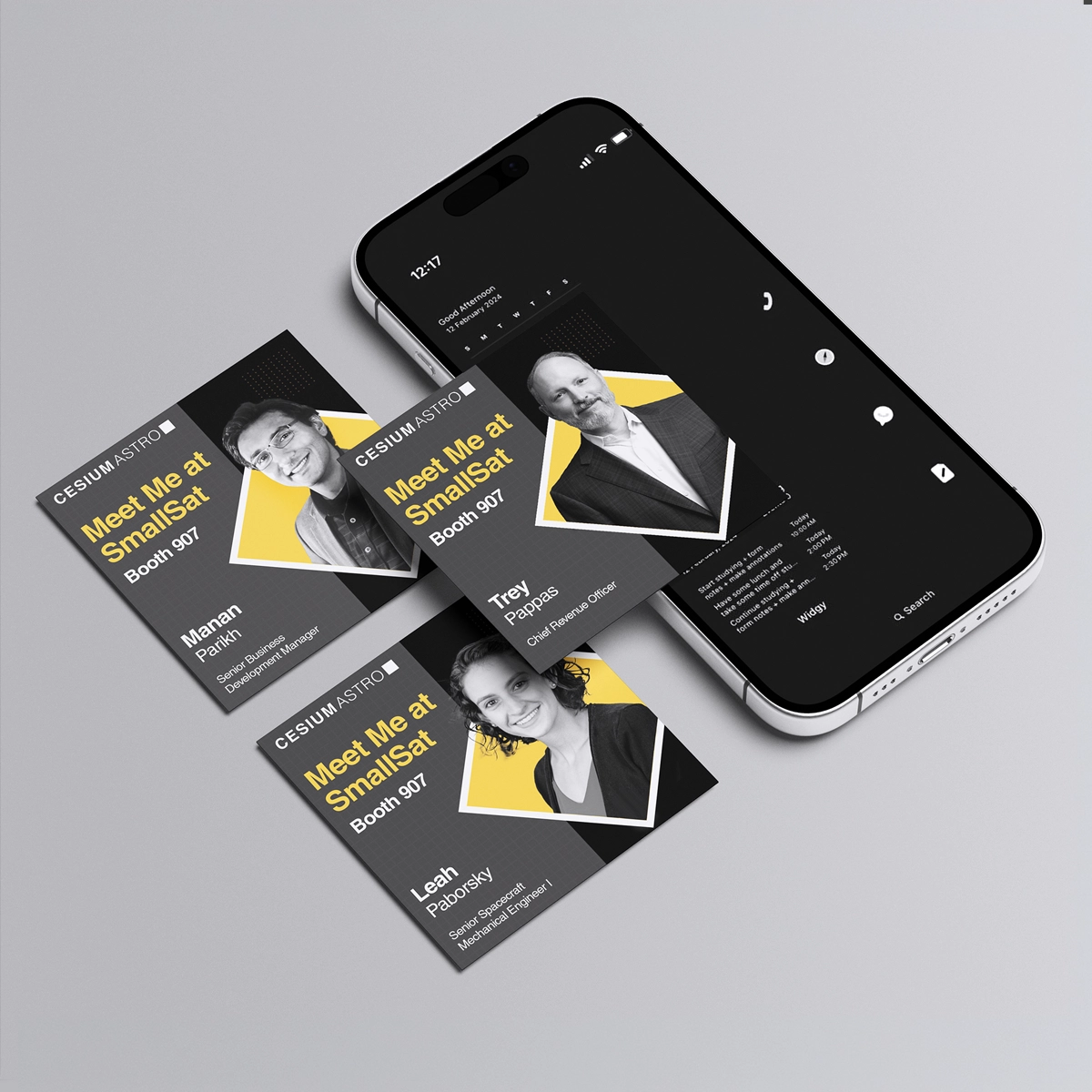 Project Preview